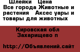 Шлейки › Цена ­ 800 - Все города Животные и растения » Аксесcуары и товары для животных   . Кировская обл.,Захарищево п.